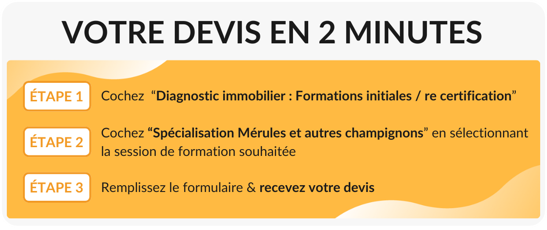 Devis formation initiale merules